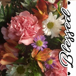 Meet your Posher, Shanna